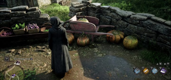 Multi-Mod | Hogwarts Legacy Mod